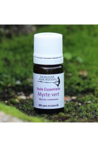 Huile essentielle MYRTE VERT BIO