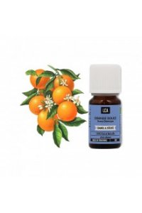 Huile essentielle ORANGE DOUCE BIO