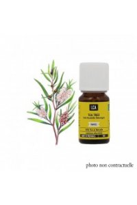 Huile essentielle TEA TREE BIO