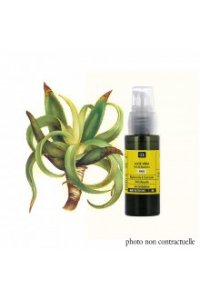 Macrat huileux ALOE VERA BIO 