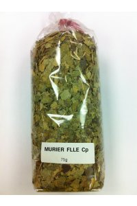 MURIER Feuille coupe 75g