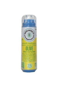 OLIVE en granules 6g