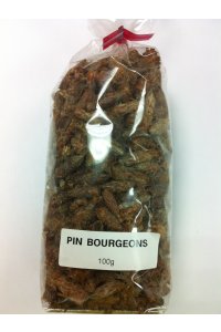 PIN Bourgeons 100g