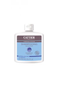 SHAMPOOING ANTIPELLICULAIRE 250 mL