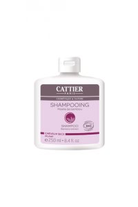 SHAMPOOING CHEVEUX GRAS 250 mL