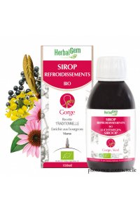 Sirop REFROIDISSEMENT BIO - 150ml