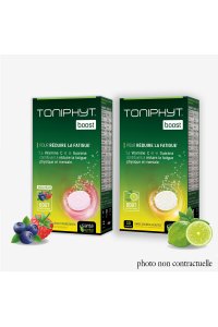 TONIPHYT BOOST Menthe-Citron 