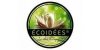 ECOIDEES