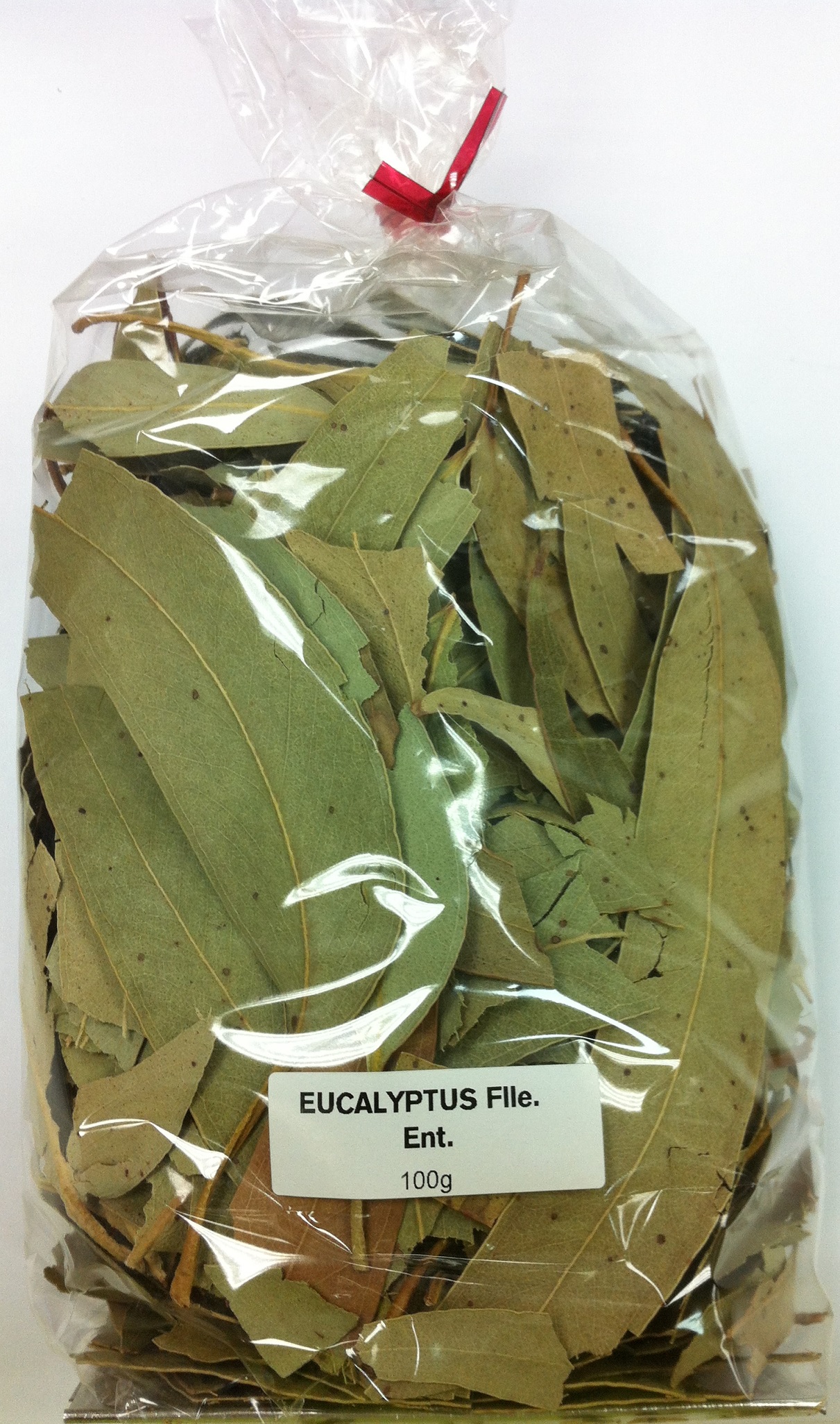 Eucalyptus feuille