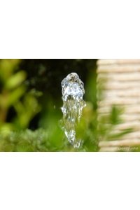 ACTION TONIQUE BIO - 24 comprim�s