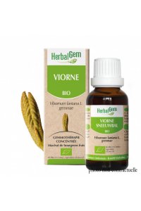Bourgeon VIORNE BIO - 30ml
