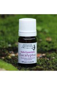 Huile essentielle Eucalyptus cryptone