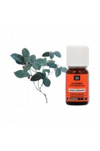 Huile essentielle GAULTH�RIE ODORANTE BIO