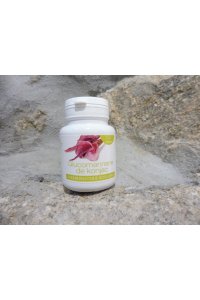 KONJAC Extrait sec 60 g�lules 