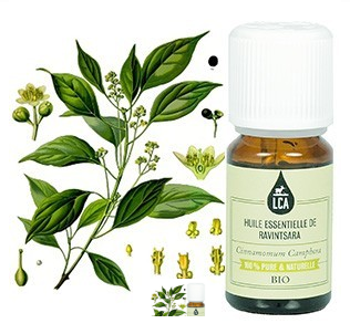 huiles essentielles